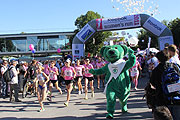 Start 5km Lauf Women's Run München 2011(Foto: Martin Schmitz)